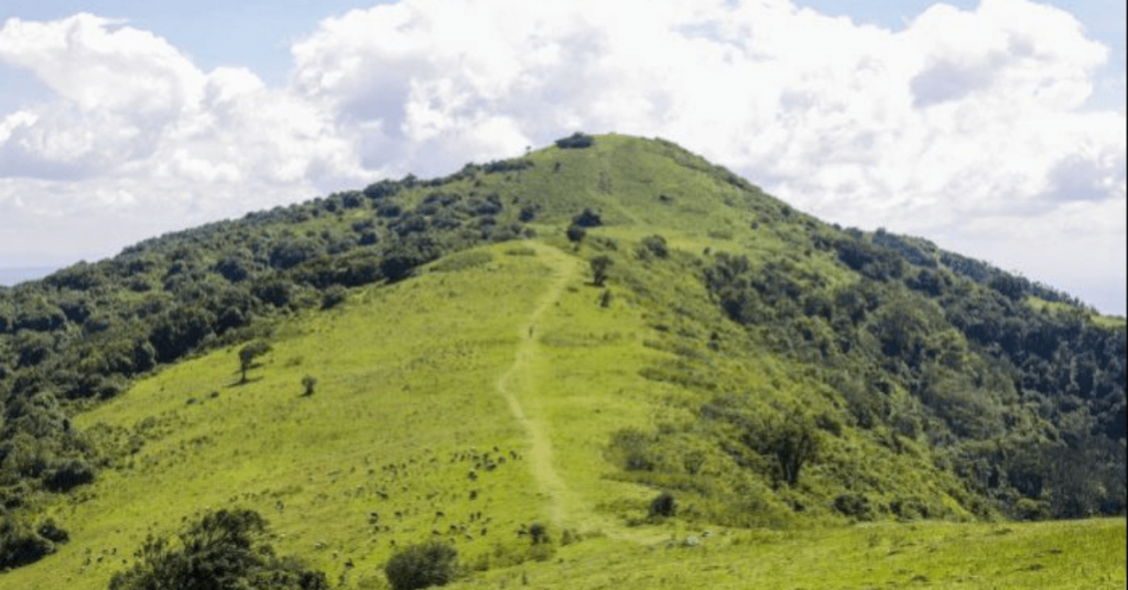 Why you need to Consider Investing in Ngong Area