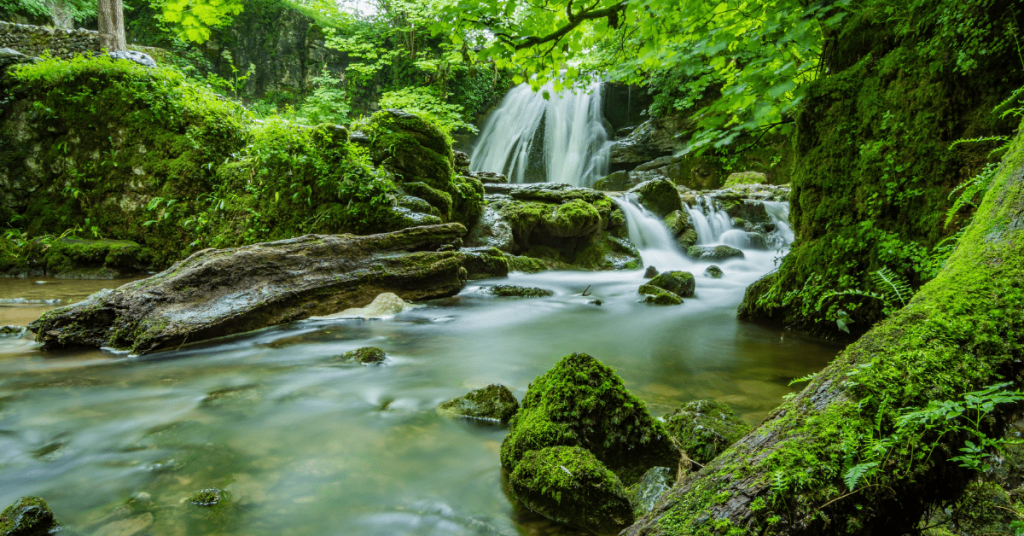 Step by Step on How to avoid Purchasing Riparian Land