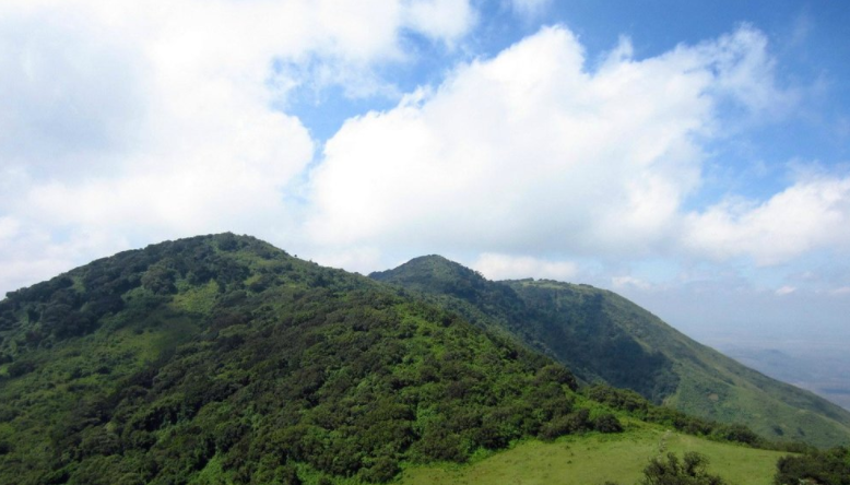 5 Things You Need To Know Before Buying A Plot In Ngong