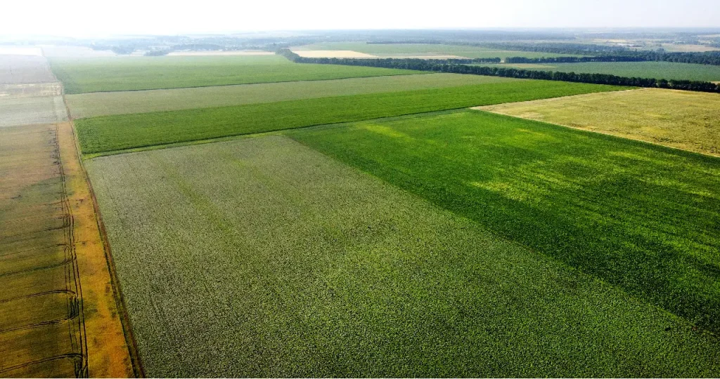 Types of land Surveys You Need to Be Aware Of