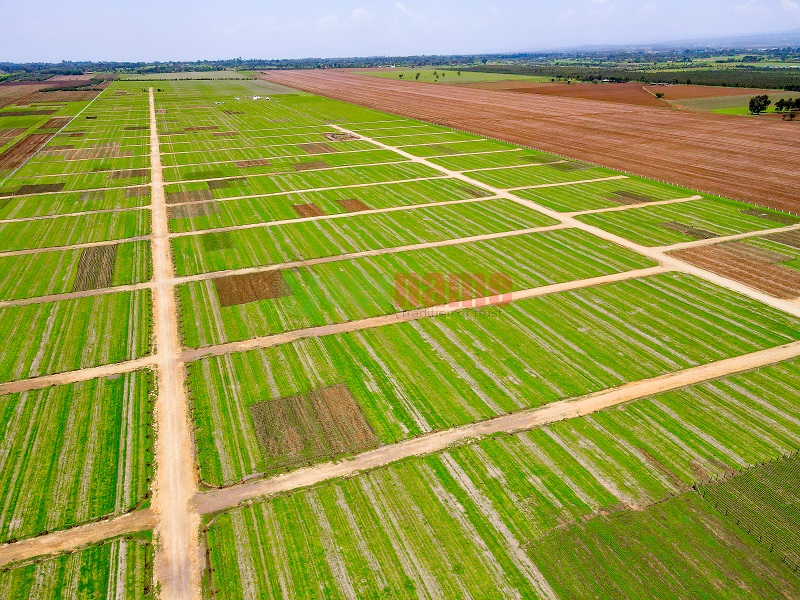 Is Land Banking in real estate Good for You? Important Benefits and Risks Is Land Banking in real estate Good for You? Important Benefits and Risks