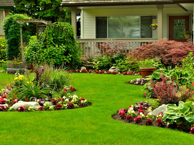 Simple Landscaping Ideas That You Can Implement for Your Plot