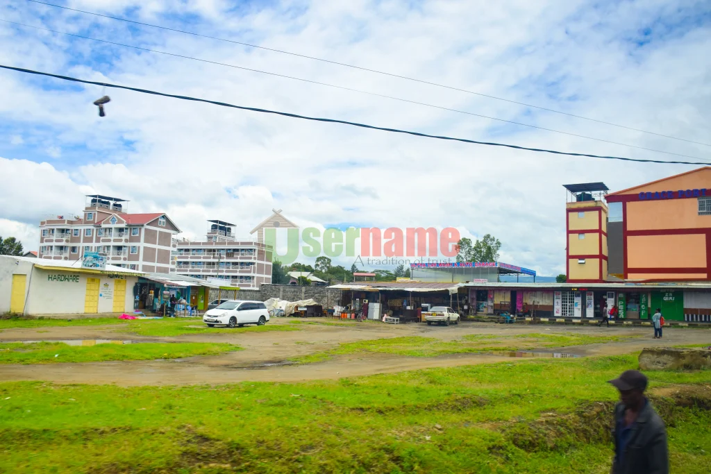 Why You Should Consider Investing in Lanet