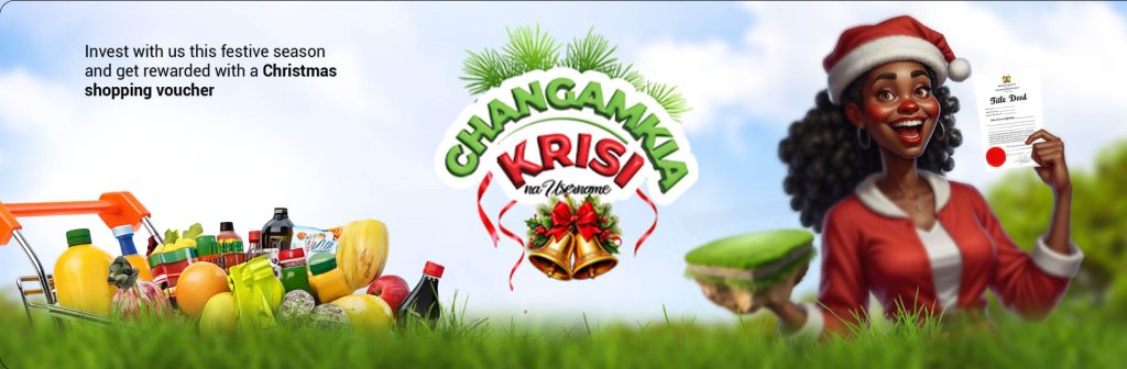 Tips for Finding Your Dream Plot This Christmas Season