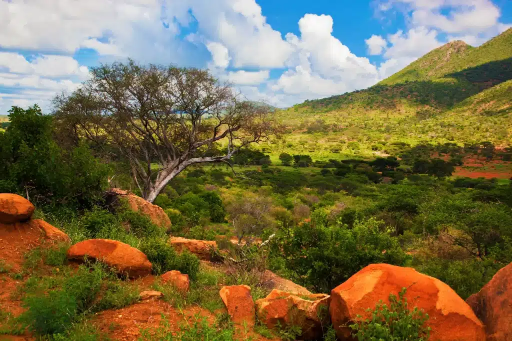 Top 5 Tourist Attraction Sites in Kikuyu Town: The Gateway to Serenity