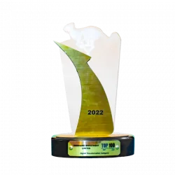 Digital Transformation by Top 100 Mid-sized Companies Award