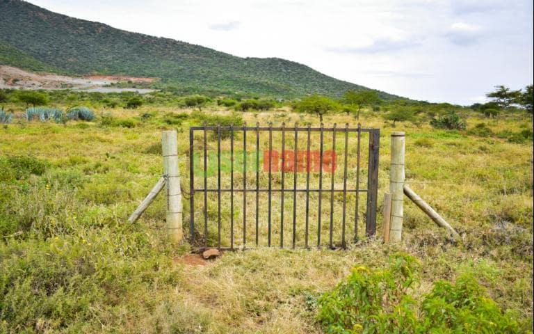 Ngong Meadows