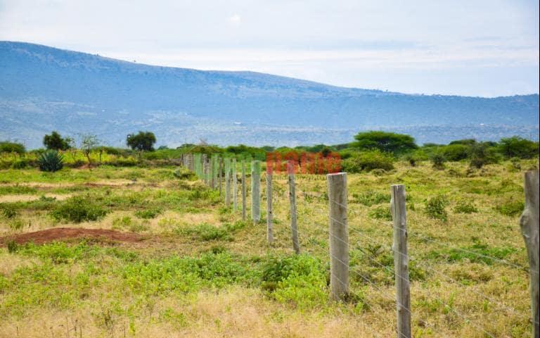 Ngong Meadows