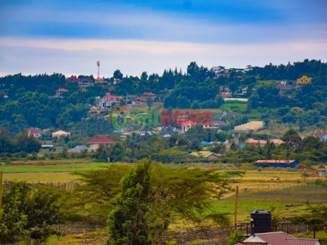 Ngong Meadows