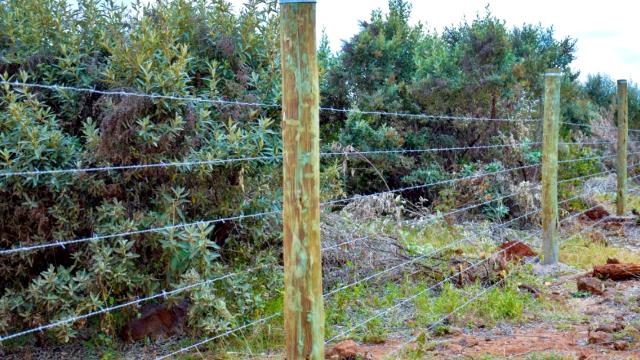 Installation of Perimeter Fence now complete at Ngong Ridge