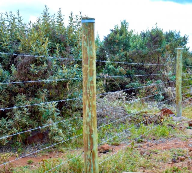 Installation of Perimeter Fence now complete at Ngong Ridge