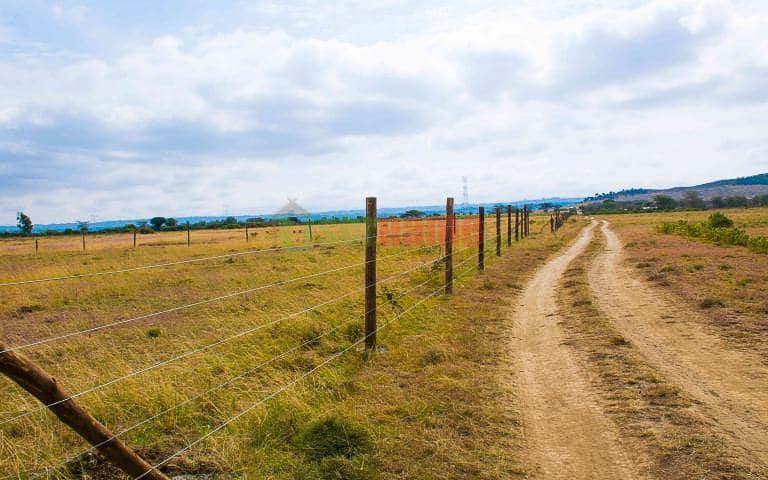 The Vantage-Naivasha