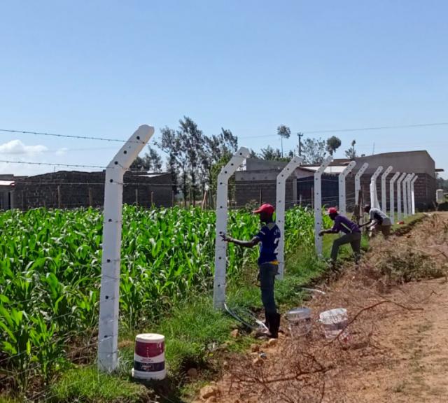 Ongoing Fencing at Springfield Nakuru