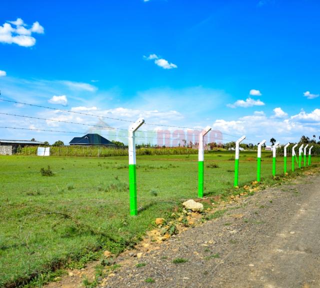 Fencing at Springfield Nakuru Completed
