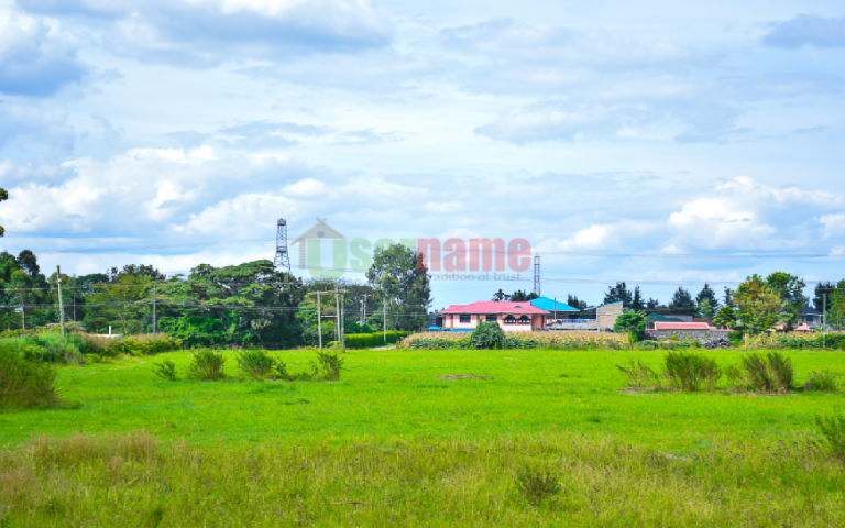 Havanna Estate Nakuru Phase I