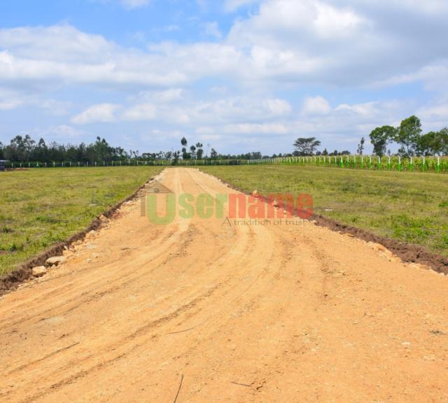 Grading and Murraming of Access Road now Complete