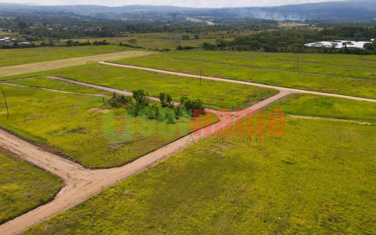 The Delight - Nakuru Phase I