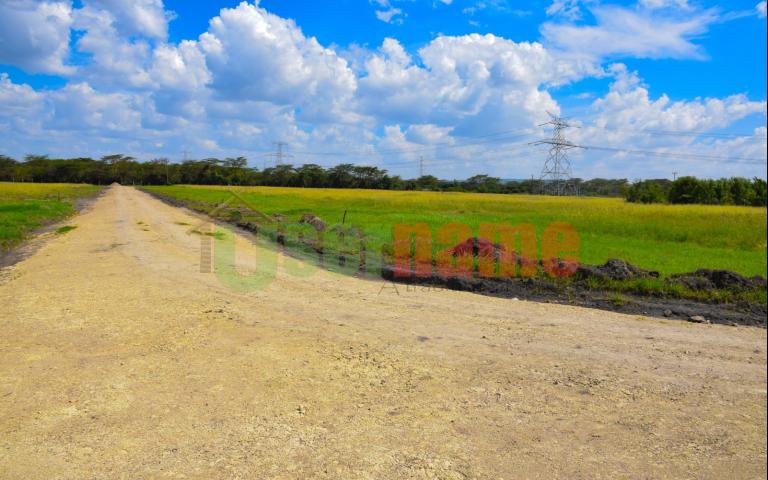 The Delight - Nakuru Phase I