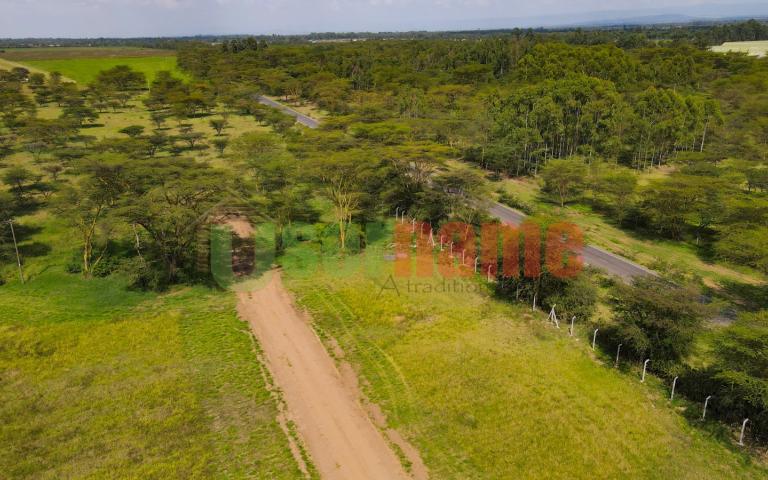 The Delight - Nakuru Phase I