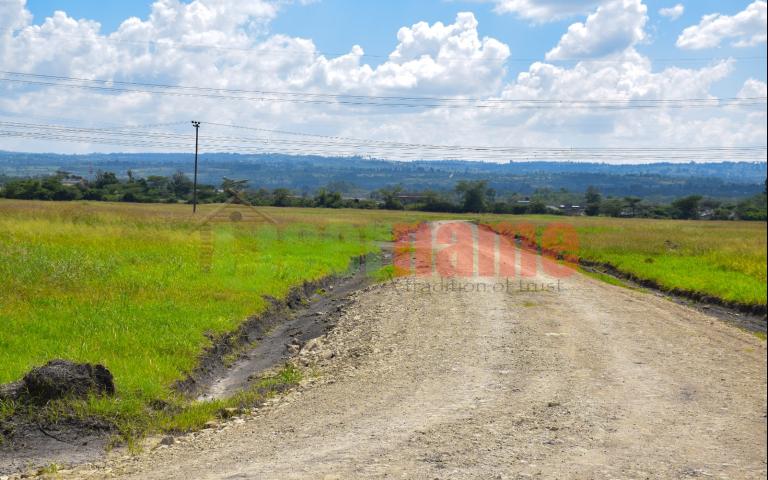 The Delight - Nakuru Phase 2