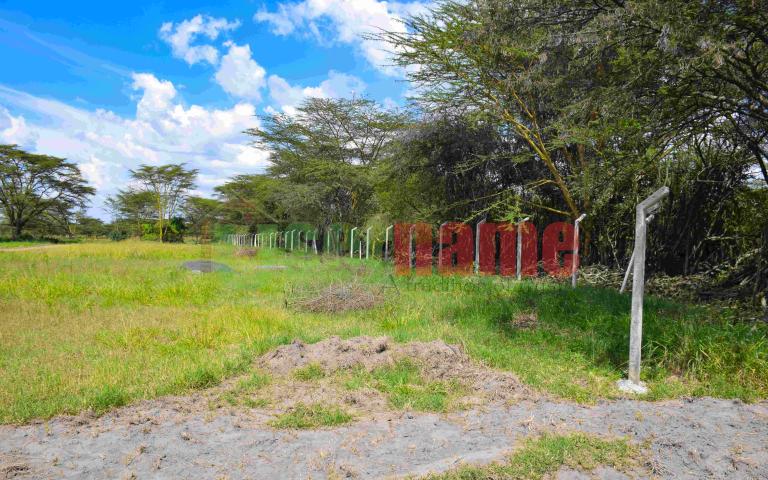 The Delight - Nakuru Phase 2