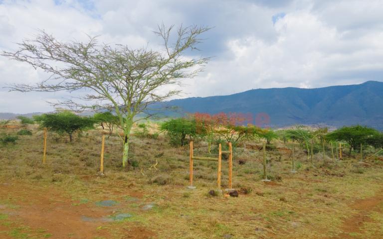 The Vineyard Ngong Phase 2