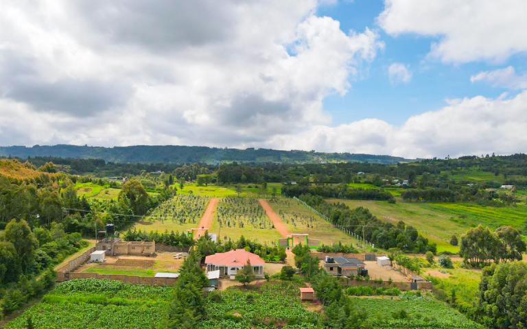 Jewel Estate Kikuyu 