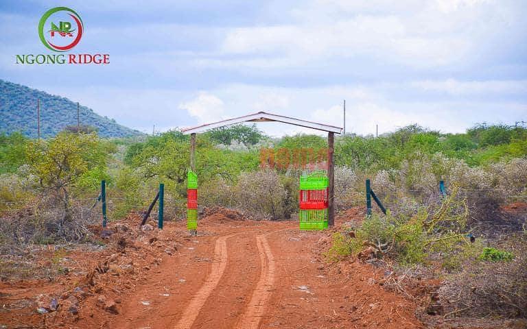 Ngong Ridge Phase II