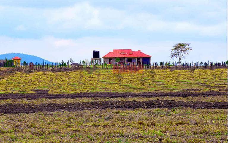 Selim Plains - Konza