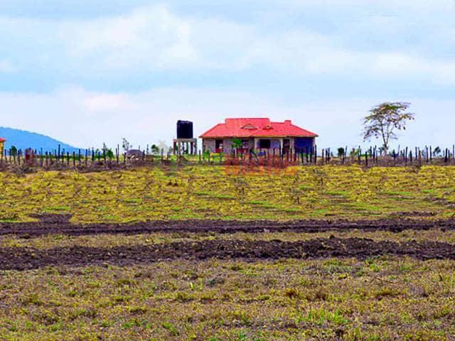 Selim Plains - Konza