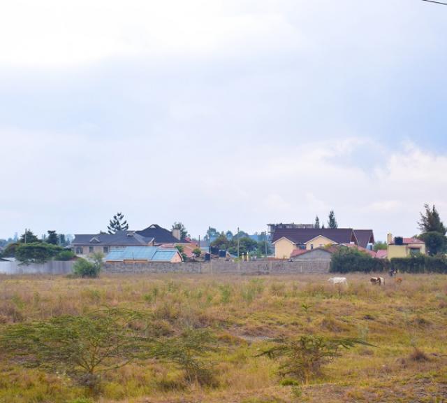 Murraming of access road leading to Greenfields - Kangundo Rd from tarmac now complete