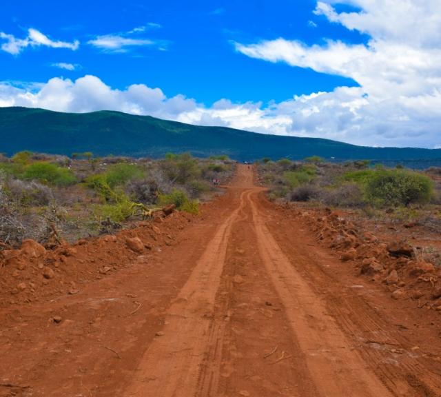 Grading of Access Roads and Perimeter Fence now complete